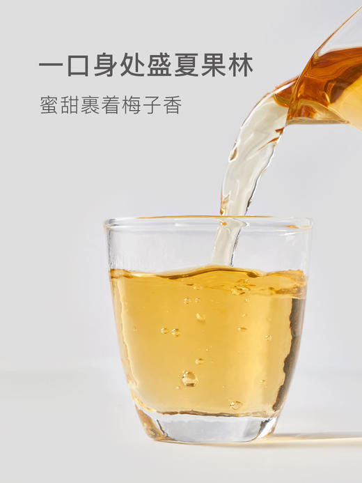 贝叶集白茶夏日冷泡茶云南一级月光白蜜甜香紧压小萌饼茶叶50g 商品图2