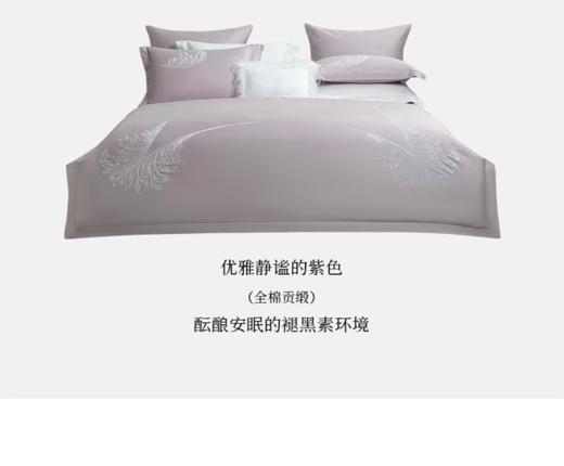 6F堂皇 轻羽磨毛（粉）全棉（紫）四件套 商品图3