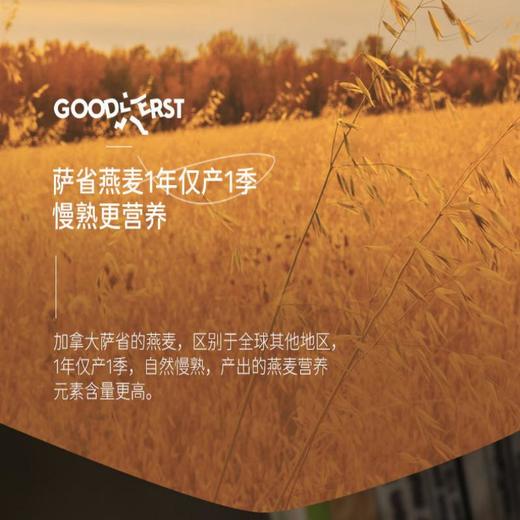 加拿大谷得斯特即食燕麦片 1kg/袋 新鲜日期 商品图6