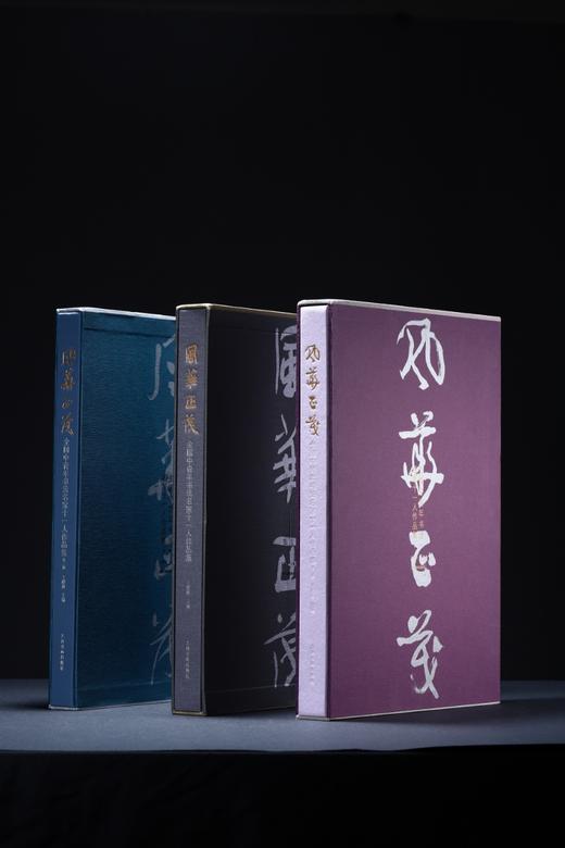 风华正茂——全国中青年书法名家十一人作品集（第三辑） 商品图3