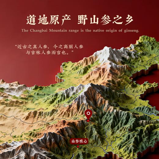 【象记】野山参5-12克礼盒装 商品图3