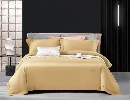 宜庭 长绒棉磨毛四件套  买一送一 商品图0