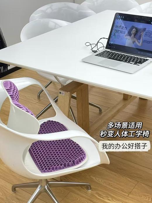 宜庭  护腰坐垫 商品图1