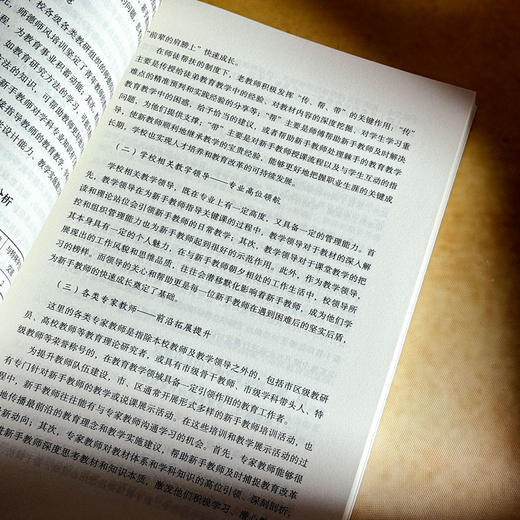 中国式现代化背景下的高质量教师学习 大夏书系 教育新思考 商品图11