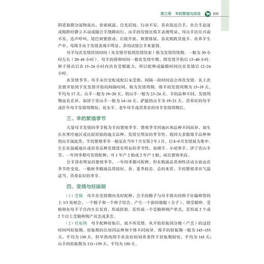 科学养羊实操图解 商品图2