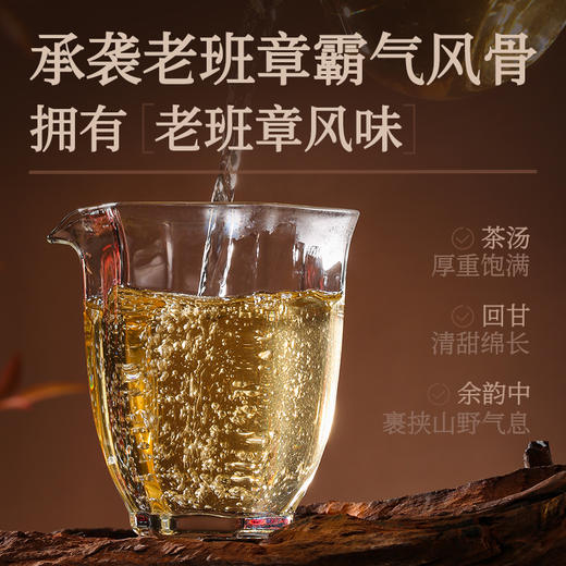 陈升号 2025年老班章·映象357g（生茶） 商品图3