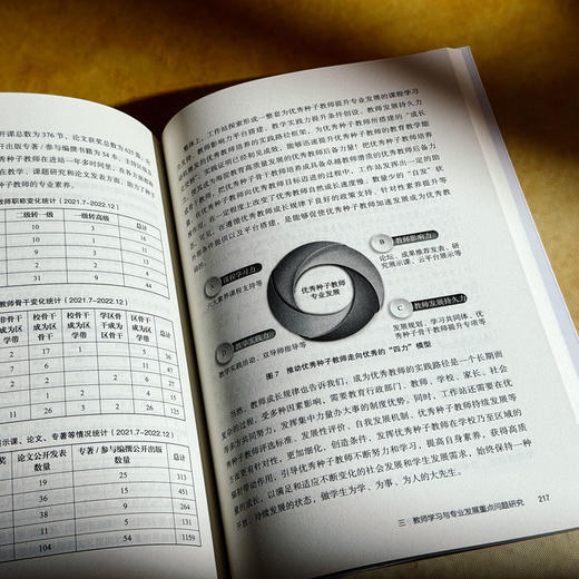 中国式现代化背景下的高质量教师学习 大夏书系 教育新思考 商品图10