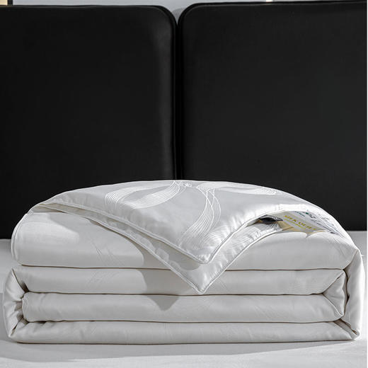 杉杉家纺 桑语提花蚕丝被 QFS-25106 商品图3