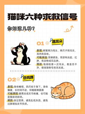 猫咪生病前的6个求救信号！一定要看完！