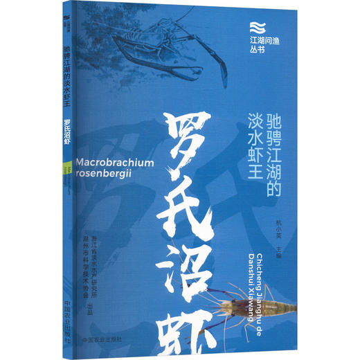 驰骋江湖的淡水虾王 商品图0