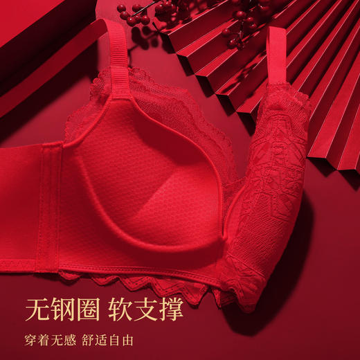 【鸿运套装】小胸聚拢显大红色内衣女金蛇本命年婚嫁喜庆文胸套装清樱暖阳套红 商品图5