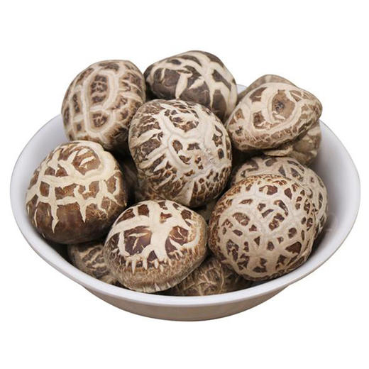 【雾山小农】南江特产椴木花菇200g 食用菌菇煲汤火锅食材 商品图1