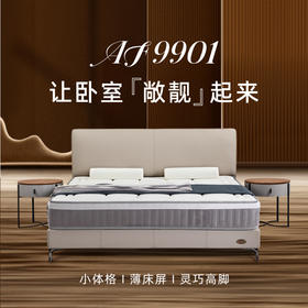AF9901真皮床架