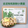 【厂商直发】云南文山有机新鲜小黄姜3斤/5斤装去泥姜香浓郁包邮 商品缩略图4