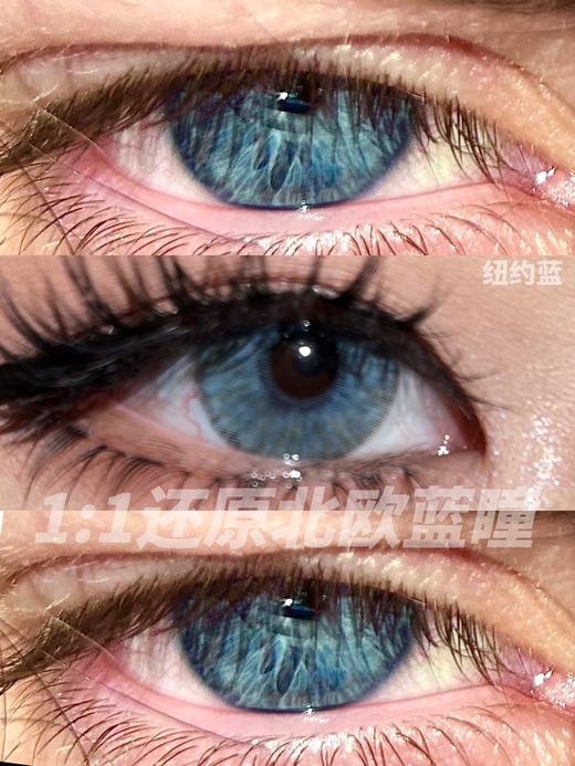 cococon 月抛 纽约蓝 直径14.5mm着色13.8mm 商品图11