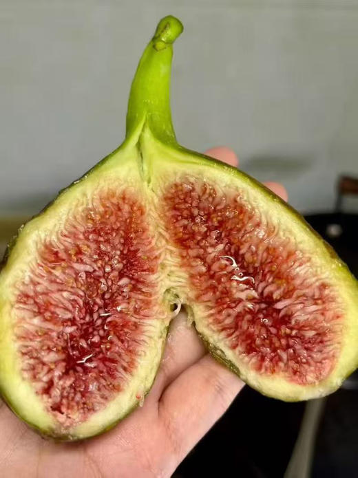 ✈️黑香蜜无花果[玫瑰][玫瑰]无花果 空运货。
有钱也不一定能吃上的空运货
天然黄体同，好东西哦～⚠️裂开 豹纹 流蜜不售后 商品图5