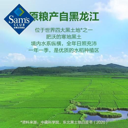 MM 十月稻田新鲜米2.5kg*2 商品图1