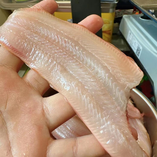 纯野生鲜塌目鱼，也叫舌头鱼，踏板鱼，鱼身扁平，没刺，撕皮即可烹饪，干炸，酱焖
野生海捕纯鲜，3-6两一条，一箱3斤左右 商品图0