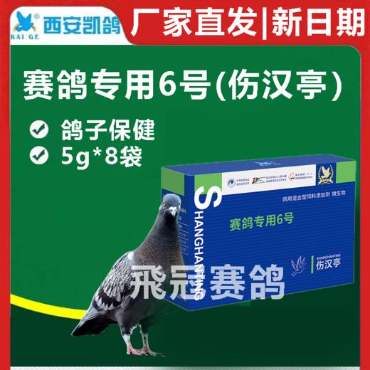 凯鸽赛鸽专用6号伤寒停伤汉亭5克*8袋鸟赛信鸽子肠道日常保健 商品图1