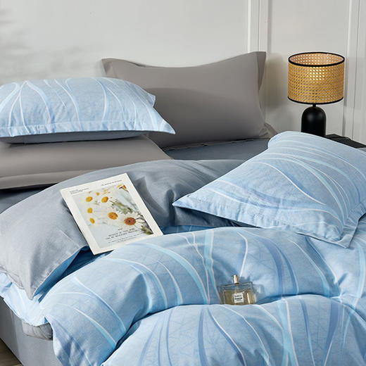 杉杉家纺 时尚纯棉磨毛四件套—岁月长河-蓝 QFS-2610 商品图1