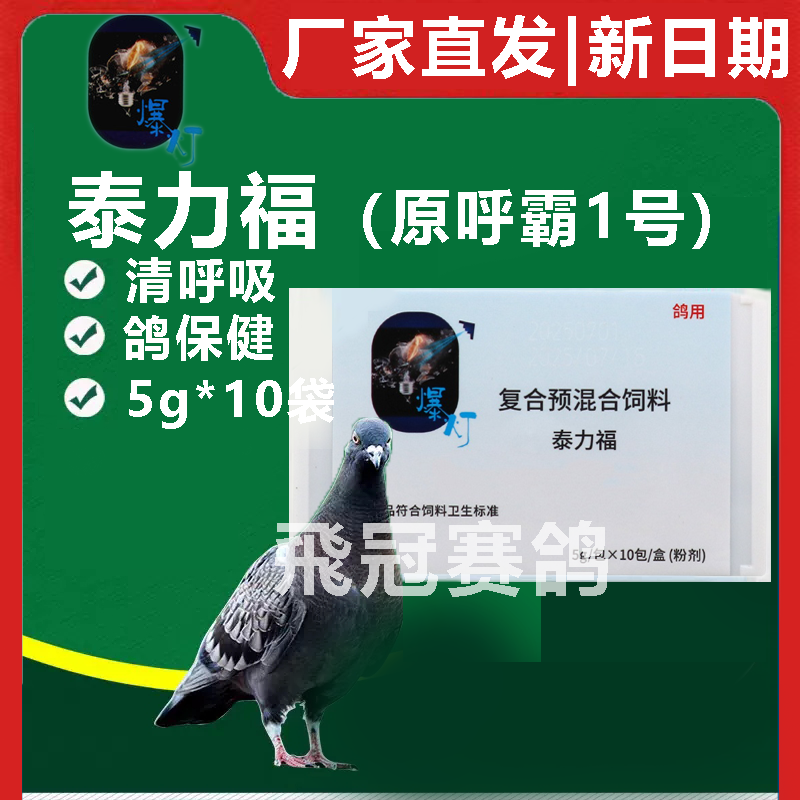 爆灯泰力福呼霸1号信鸽赛鸽清理呼吸道比赛呼霸一号鸽子日常保健
