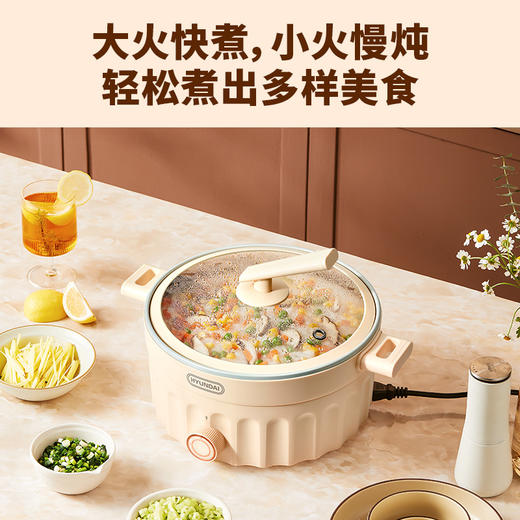 HYUNDAI电火锅QC-HG127A 商品图3