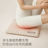 左点养生娘娘热敷坐垫NN-RZD-6 商品缩略图1