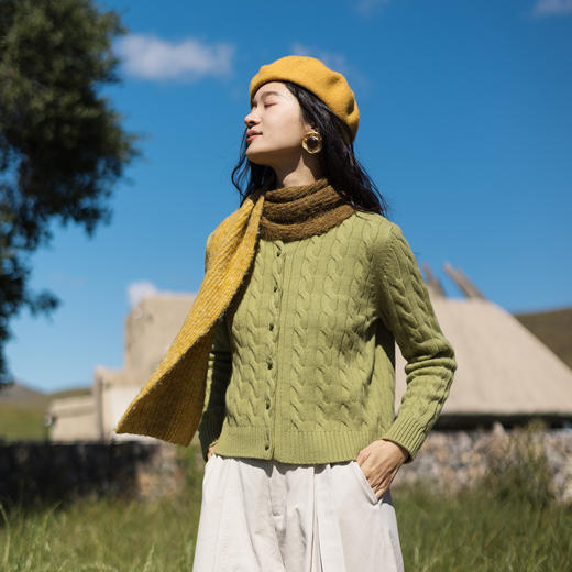 特绽放649朵/纯羊毛绞花圆领短款开襟毛针织衫女秋冬新款毛衣外套 商品图1