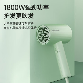 飞科（FLYCO）博锐电吹风机吹头发家用大功率不伤发便携护发吹风筒女士宿舍用 翡翠绿PH1628 /家用电器 /个护健康 /电吹风