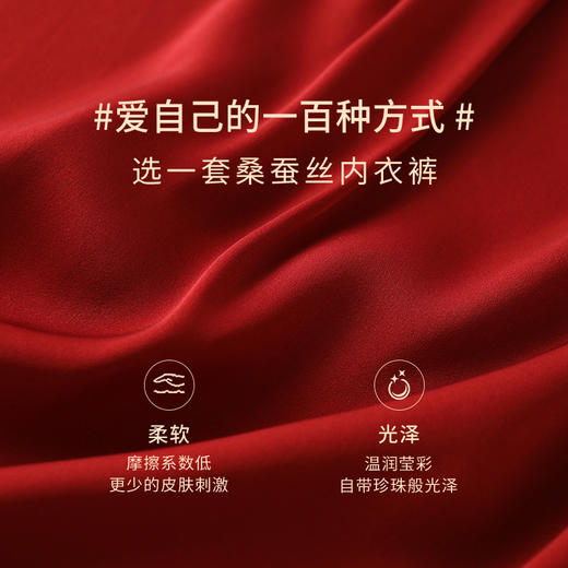 一起红】两条装真丝内裤礼盒100%桑蚕丝结婚本命年红色内裤金三塔（私密物品不支持退换货） NZF8C208+3NZF9C217+ NZFBA213+NZF9A209 商品图5