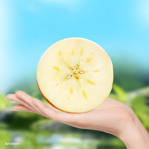 【疆果乐 新鲜水果】阿克苏冰糖心苹果(顺丰陆运，接单后48小时内发出，出单号后5-7天到货) 商品图2