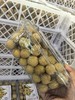 泰国龙眼8.5元1盒约1斤，明天到 商品缩略图8