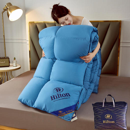 厂家直销希尔顿星级酒店羽丝绒棉被春秋被民宿被芯团购礼品被 商品图8