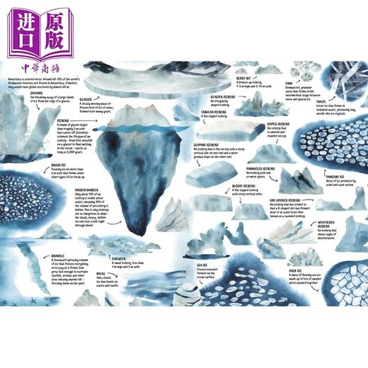 【中商原版】关于南极洲的一切 All About Antarctica 英文原版 儿童科普绘本 自然科学读物 精装 进口童书 7岁以上 精品绘本 商品图2