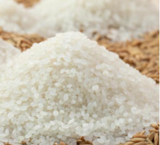 洱源县苍洱稻田大米5kg 商品图1