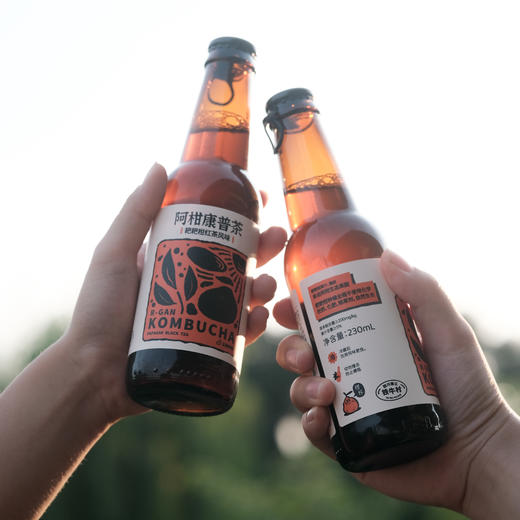 阿柑康普茶 | 230ml*6瓶/箱 耙耙柑红茶风味气泡茶饮 甄选生态&有机原料 富含益生菌消化酶 丑美阿柑 商品图8
