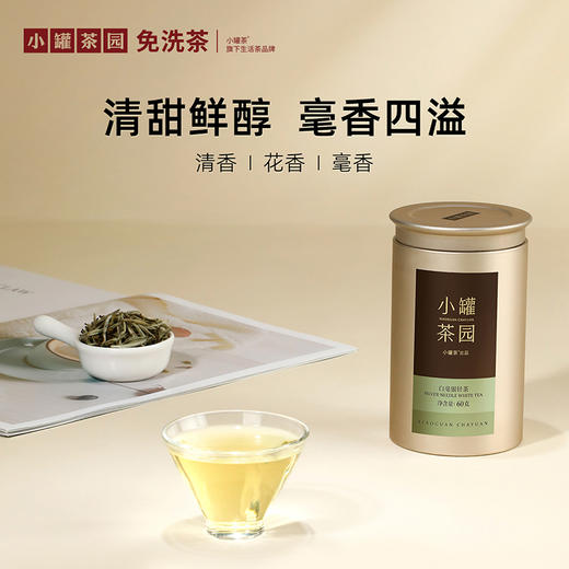 小罐茶园 金标系列特级 白毫银针茶  升级版 60g【现货】 商品图1