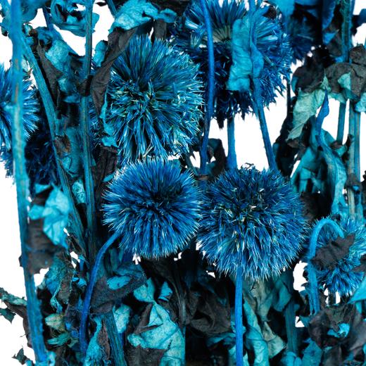 永生蓝星球 | 蓝色 商品图3