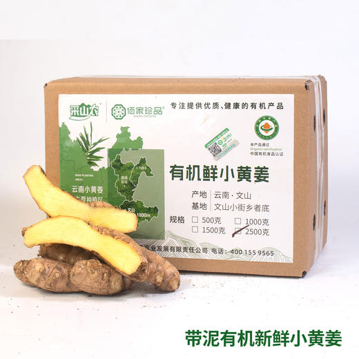 【厂商直发】云南文山有机新鲜小黄姜3斤/5斤装去泥姜香浓郁包邮 商品图5