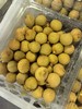 泰国龙眼8.5元1盒约1斤，明天到 商品缩略图5