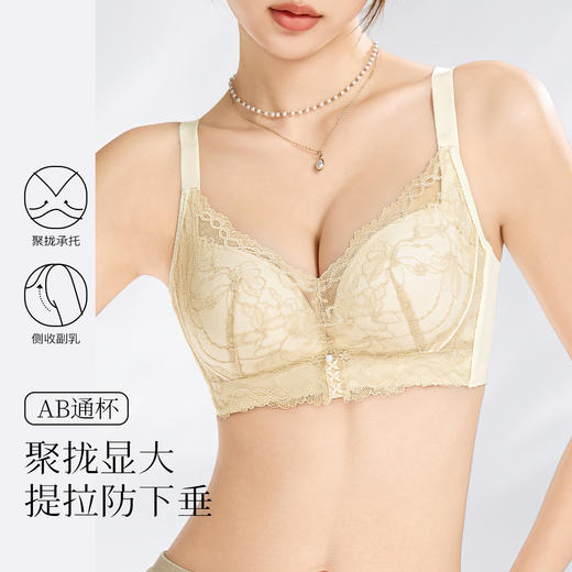 【小胸聚拢A变C】馒头杯内衣聚拢上托不空杯收副乳无钢圈文胸青花梦蝶 商品图1