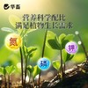 长效缓释肥颗粒通用型氮磷钾肥料养花绿植多肉家用盆栽花肥 商品缩略图4
