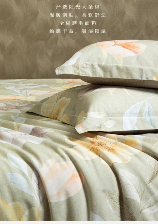 6F堂皇 柔澜全棉磨毛四件套 商品图2