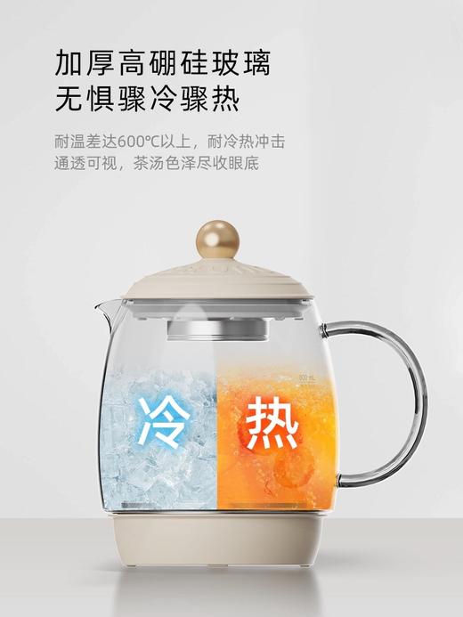 日版 Bruno  纯钛高硼硅玻璃养生壶 BXM801 商品图4