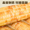 滇园香糯小玉米 2kg 商品缩略图2