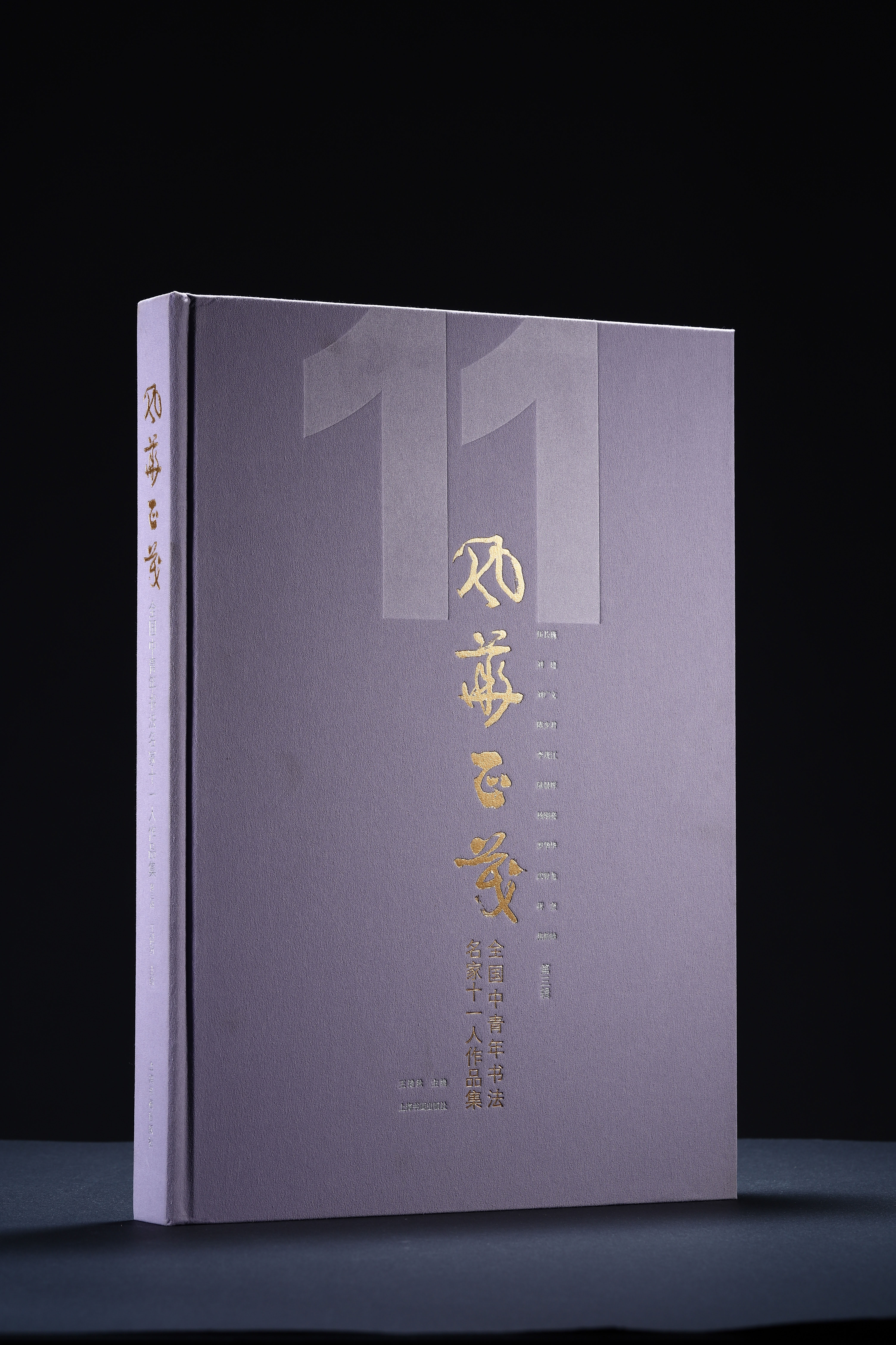 风华正茂——全国中青年书法名家十一人作品集（第三辑）