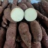 生态紫薯&黄金蜜薯（红薯）| 合作生产 | 基地直发|  * Ecological purple sweet potato & golden honey sweet potato 商品缩略图6