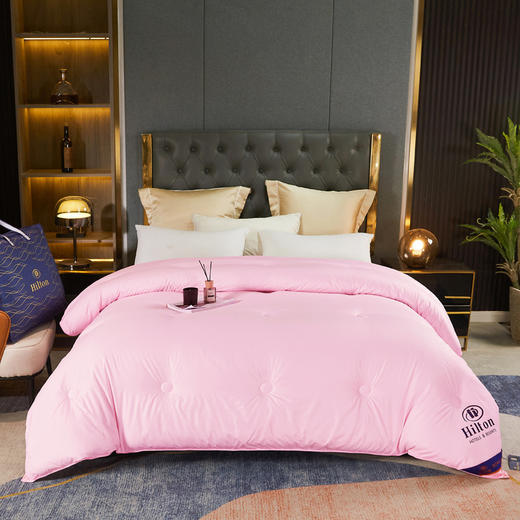 厂家直销希尔顿星级酒店羽丝绒棉被春秋被民宿被芯团购礼品被 商品图12