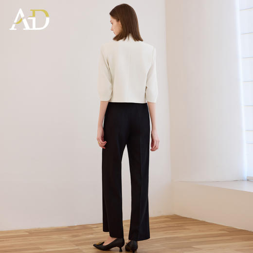 AD高级感气质西装套装女2025新款春秋职业装面试正装西服阔腿裤 商品图4