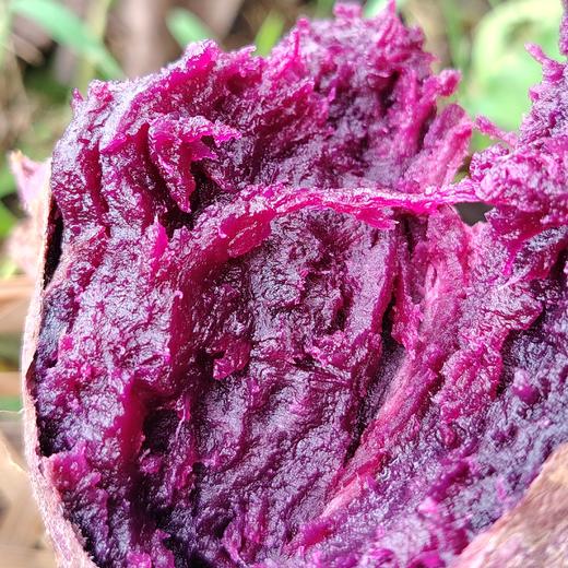 生态紫薯&黄金蜜薯（红薯）| 合作生产 | 基地直发|  * Ecological purple sweet potato & golden honey sweet potato 商品图1